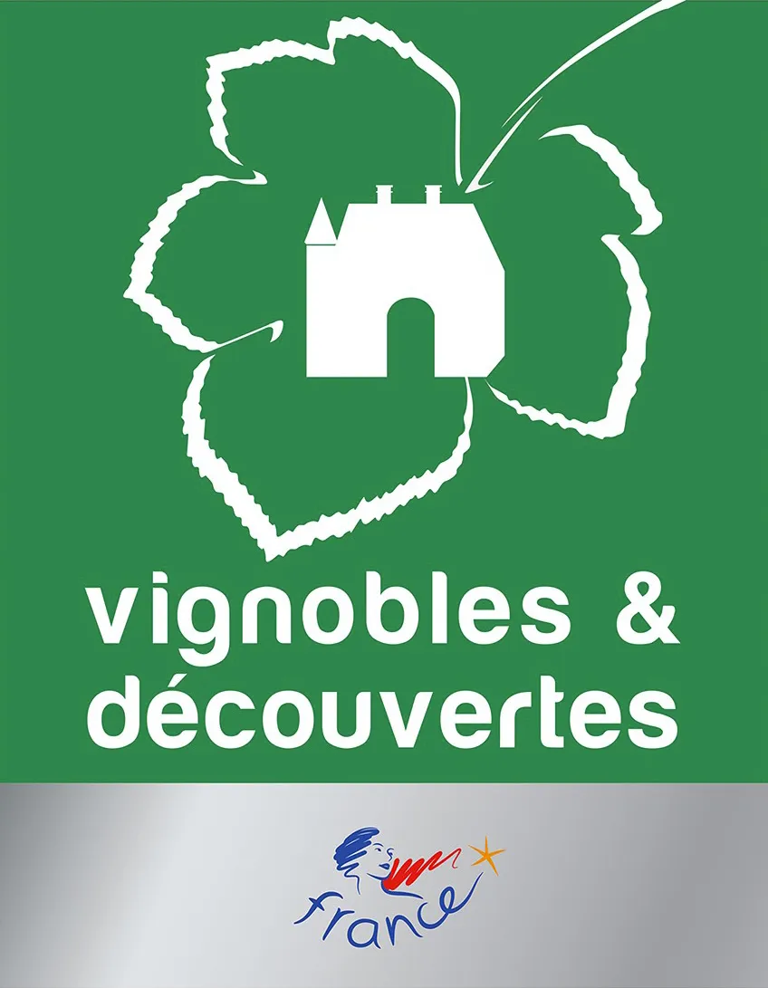 Logo vignoble et découverte